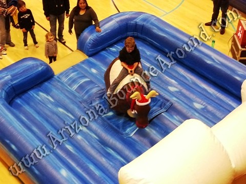 Mechanical Reindeer Rental - Phoenix, Scottsdale, Tempe, AZ